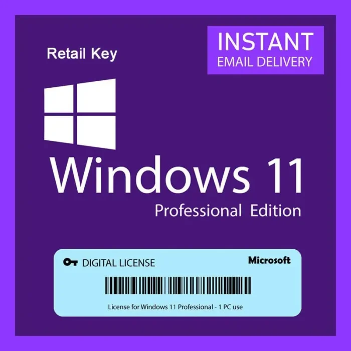 Windows 11 Pro - Image 1